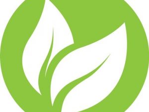 Toilettenpapier Katrin Plus 250 3-lagig 48 RL a 250 Blatt=12000 Bl.KATRIN - VPE: 48