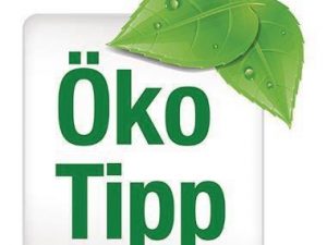 fripa Toilettenpapier Basic 1510805 2-lagig 250Bl. weiß 8 Rl./Pack.