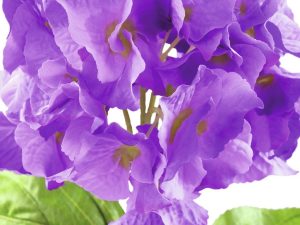 EUROPALMS Hortensienzweig, künstlich,  lavendel, 76cm