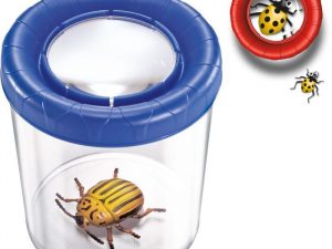 Insektenbecher groß 12 St. Displ.